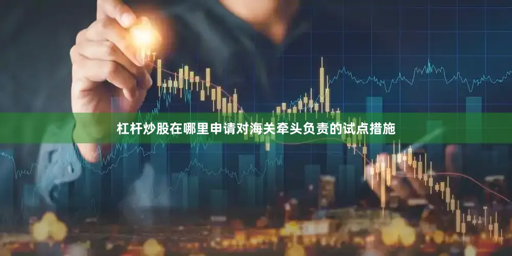 杠杆炒股在哪里申请对海关牵头负责的试点措施