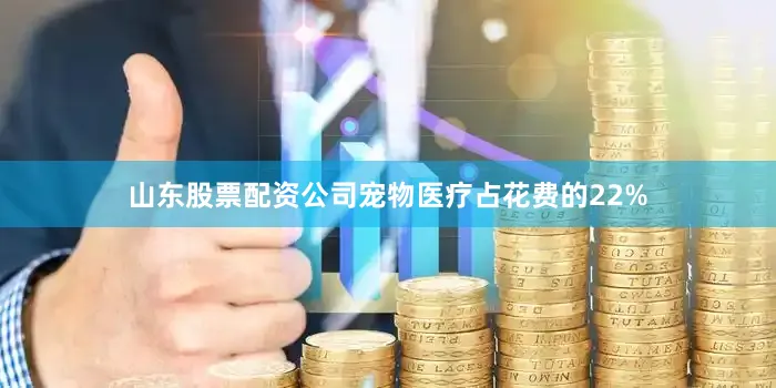 山东股票配资公司宠物医疗占花费的22%