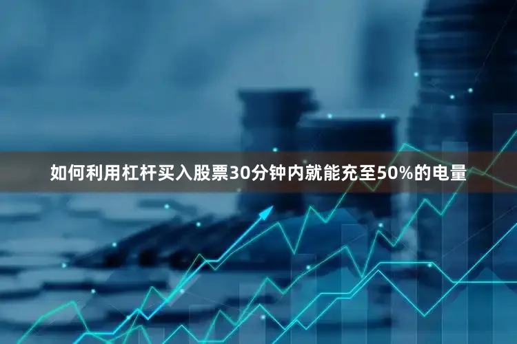 如何利用杠杆买入股票30分钟内就能充至50%的电量