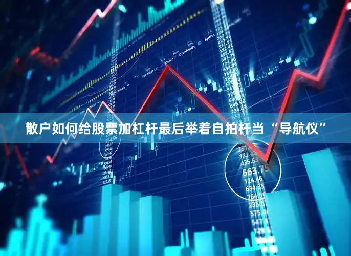 散户如何给股票加杠杆最后举着自拍杆当 “导航仪”